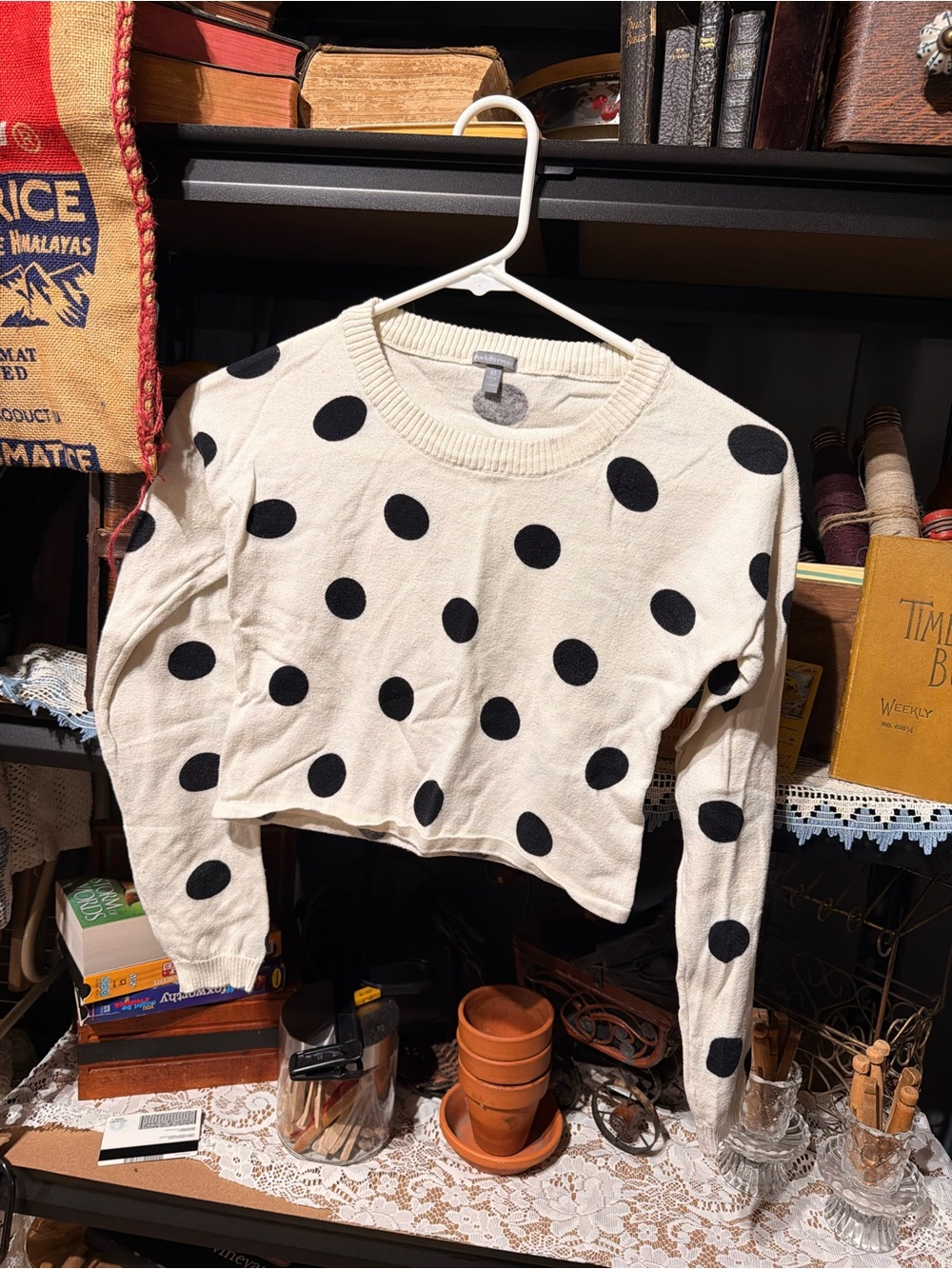 Charlotte Russe Cream Cropped Sweater with Black Polka Dots
